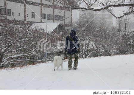 雪の降る公園の散歩はいつもと違うワクワク、ドキドキ 136582102