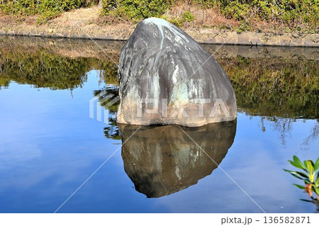 希望の池にある石 136582871