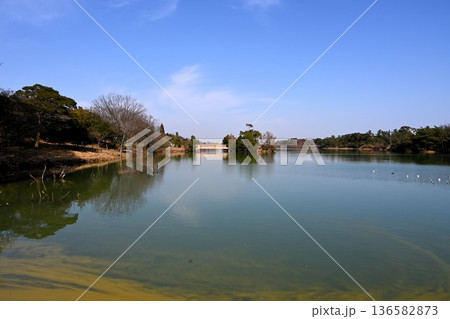 道白池の中央の浮島 道白池の中央の浮島 136582873