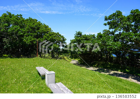 恵山岬灯台公園のどこかで 136583552