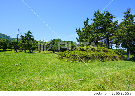 恵山岬灯台公園のどこかで 136583553
