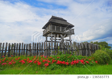 吉野ヶ里遺跡 136583773