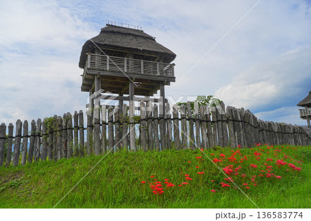 吉野ヶ里遺跡 136583774