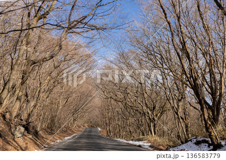 冬の九重のドライブコース 136583779