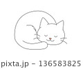 丸くなって眠る白猫 ゆるいイラスト 丸くなって眠る白猫 ゆるいイラスト 136583825