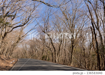 冬の九重のドライブコース2 冬の九重のドライブコース2 136583840