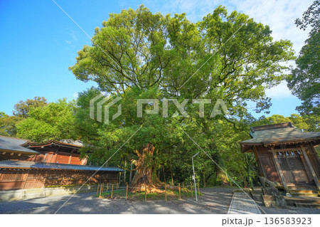 千栗八幡宮 千栗八幡宮 136583923