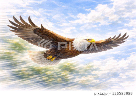 鳥シリーズ:画面を横切る大きな鳥の動きある背景 鳥シリーズ:画面を横切る大きな鳥の動きある背景 136583989