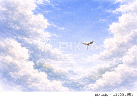 鳥シリーズ:高高度の空をゆく鳥のスケール感背景 鳥シリーズ:高高度の空をゆく鳥のスケール感背景 136583999