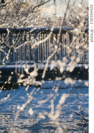 光と雪、冬の早朝の公園の雪景色 光と雪、冬の早朝の公園の雪景色 136584428