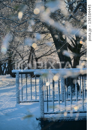 光と雪、冬の早朝の公園の雪景色 136584445