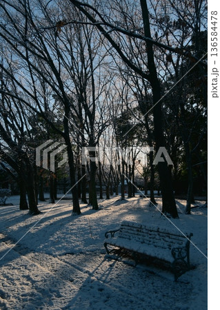 光と雪、冬の早朝の公園の雪景色 136584478