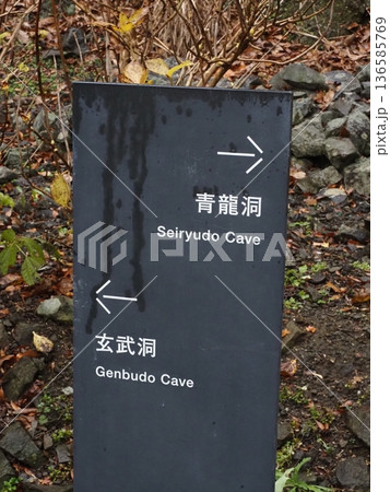 玄武洞公園の風景 玄武洞公園の風景 136585769