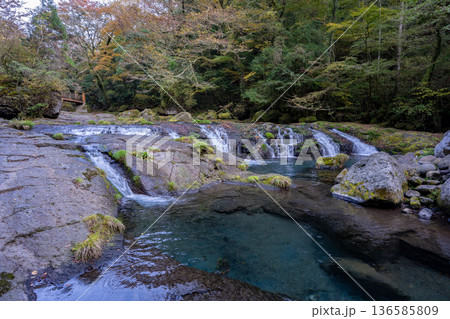 菊池渓谷の四十三万滝の風景 136585809