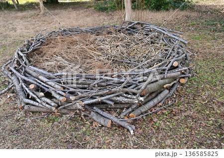 バイオネスト　分解が進んだ堆肥置き場と自然の循環 136585825