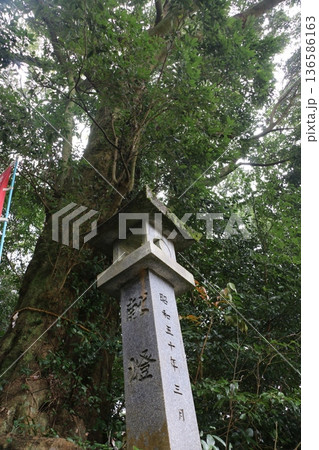 冠天満宮の御神木 冠天満宮の御神木 136586163