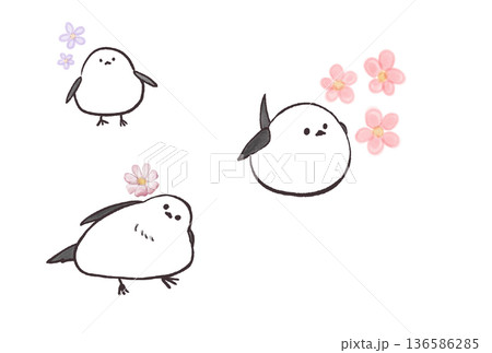 シマエナガと水彩お花イラスト シマエナガと水彩お花イラスト 136586285