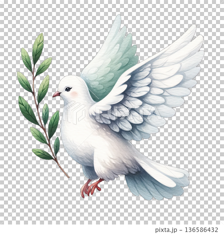 White dove flying with green olive branch in beak peaceful bird 136586432