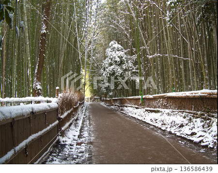 雪の日の竹林の小径 136586439