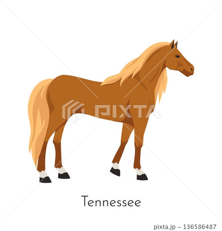 Tennessee horse. Equine purebred breed. Pet dressage. Racehorse or western ranch. Pedigree mammal. Thoroughbred stallion gallop. Equestrian race. Horsy species. Vector domestic animal Tennessee horse. Equine purebred breed. Pet dressage. Racehorse or western ranch. Pedigree mammal. Thoroughbred stallion gallop. Equestrian race. Horsy species. Vector domestic animal 136586487
