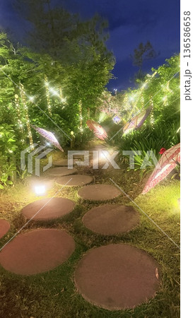 ライトアップされた日本庭園の中の小道 136586658