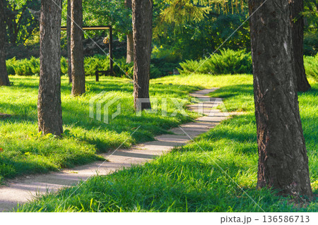 Winding footpath, pedestrian path through green park with trees and sunlit grass, summer landscape Winding footpath, pedestrian path through green park with trees and sunlit grass, summer landscape 136586713