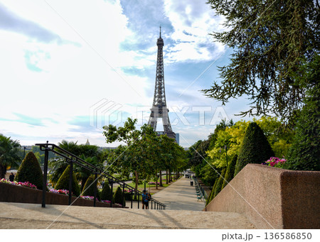Eiffel Tower view from Paris garden pathway 136586850