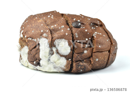 expired chocolate flavored bread white mold 136586878