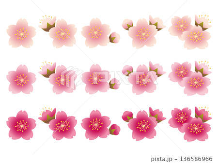 ピンクや白の桜の花の花びらや蕾のセット 136586966