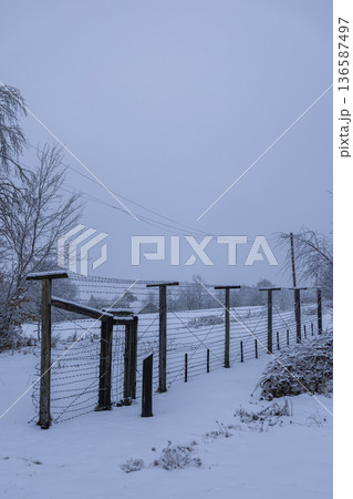 Barbed wire fence marking a border in winter 136587497