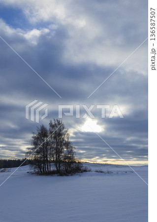 Winter landscape with snow field and bare trees Winter landscape with snow field and bare trees 136587507