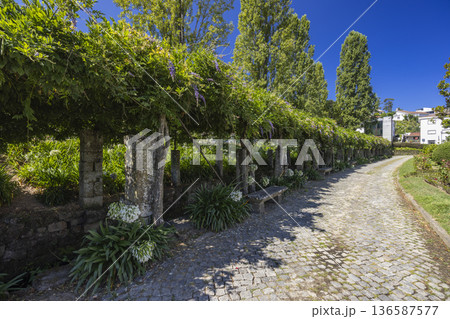 Parque do Mosteiro pergola path in Cabeceiras de Basto, Portugal 136587577