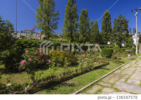 Rose garden path in Parque do Mosteiro, Cabeceiras de Basto 136587578
