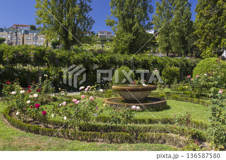 Parque do Mosteiro garden with fountain and blooming roses 136587580