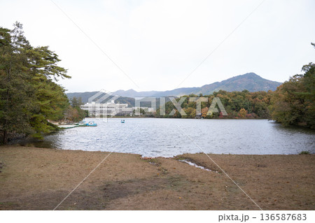 池のある風景 136587683
