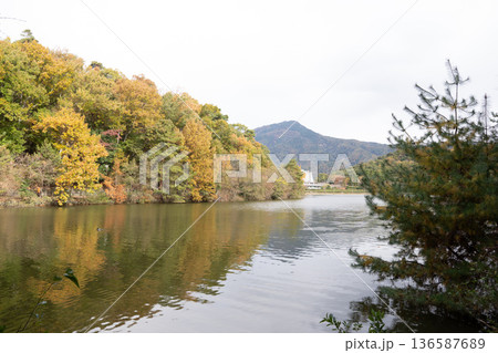 秋の自然　池の風景 136587689