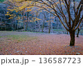 晩秋 136587723