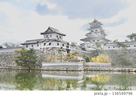 今治城(愛媛県今治市通町3丁目) 今治城(愛媛県今治市通町3丁目) 136589796