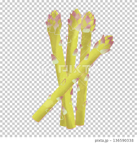 緑のアスパラガス 136590338