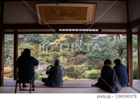秋の日本庭園を和室から眺める 秋の日本庭園を和室から眺める 136590379