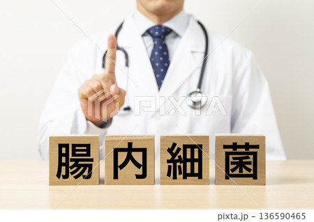 「腸内細菌」と書かれたブロックと医師 「腸内細菌」と書かれたブロックと医師 136590465