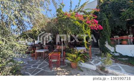 Open terrace restaurant under bougainvillea Open terrace restaurant under bougainvillea 136590718