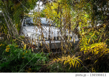 Abandoned Car Overgrown with Grass Abandoned Car Overgrown with Grass 136590811