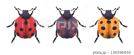 Cute ladybugs. Cartoon ladybird insects, cute spotted beetles flat vector illustration set. Various ladybird insects isolated on white 136590850