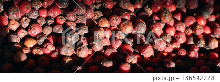 Close-up of dried red berries with textured surface in sunlight Close-up of dried red berries with textured surface in sunlight 136592228
