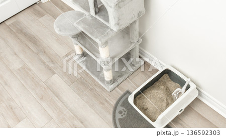 Cat care room featuring a gray cat tree and a litter box with a mat on a wooden floor in a well-lit indoor space 136592303