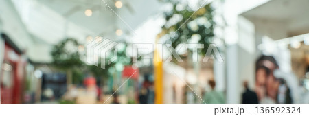 Blurred indoor shopping mall with plants and people walking under bright Blurred indoor shopping mall with plants and people walking under bright 136592324