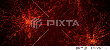 Blood Vessels Imaging Veins Vascular System Bloodstream Venous Pattern, Red Human Cardiovascular Anatomy Dynamic Stream, Medical Science Graphics, Abstract Circulation Concept. Vector Illustration 136592525
