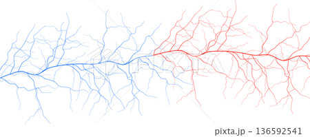 Blood Vessels Imaging Veins Vascular System Bloodstream Venous Pattern, Red Human Cardiovascular Anatomy Dynamic Stream, Medical Science Graphics, Abstract Circulation Concept. Vector Illustration 136592541