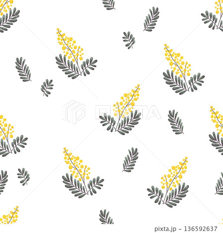 Mimosa branches seamless pattern for March 8 136592637